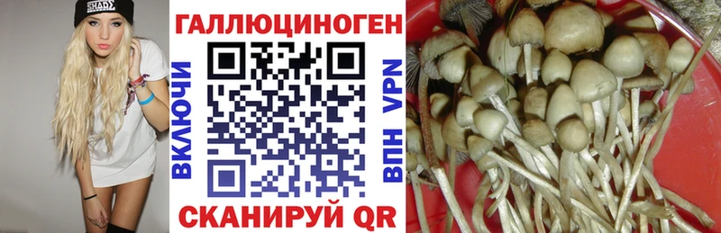 Псилоцибиновые грибы Cubensis  Новая Ляля 